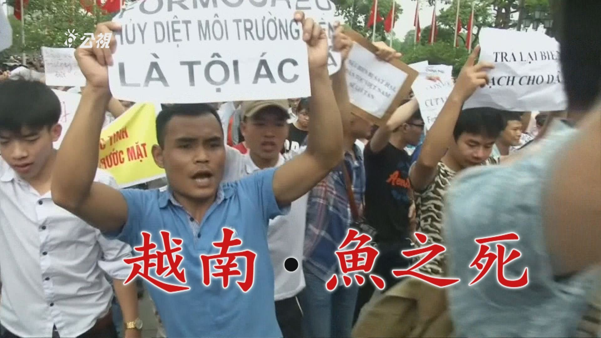 我們的島 第862集 越南‧魚之死 (2016-06-20)