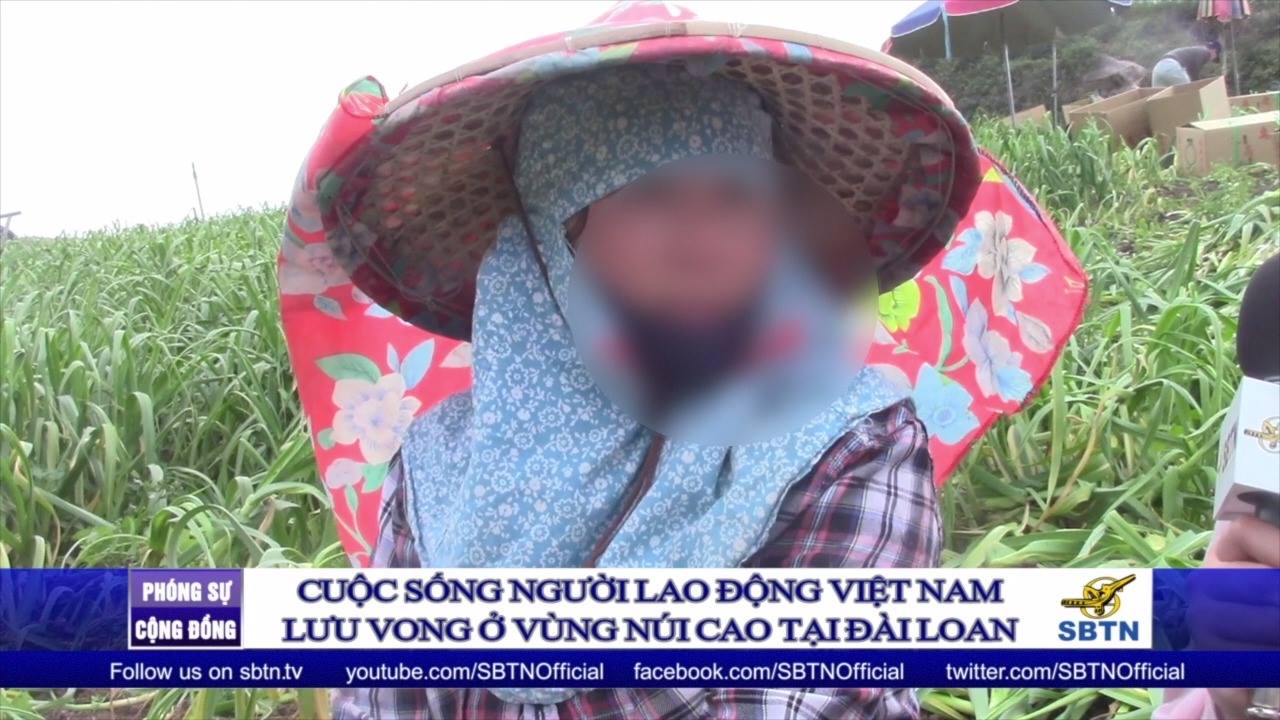 CUỘC SỐNG CƠ CỰC CỦA NGƯỜI LAO ĐỘNG VIỆT NAM LƯU VONG Ở CÁC VÙNG NÚI ĐÀI LOAN