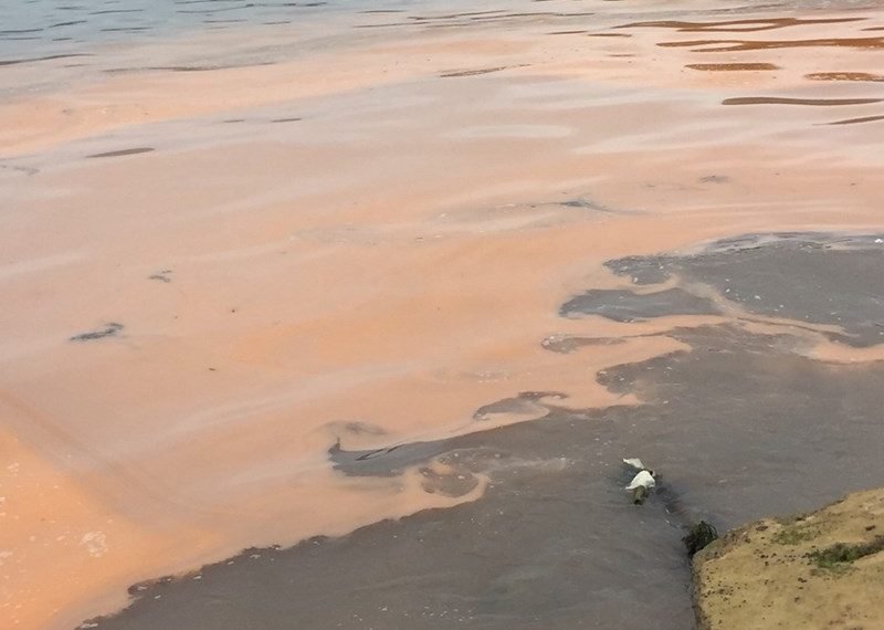 Quảng Bình: Xuất hiện vệt nước đỏ dài hàng km trên biển